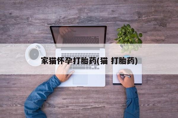 紫竹药业打胎药网购家猫怀孕打胎药(猫 打胎药)
